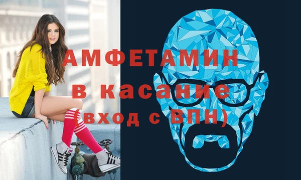 гидра Няндома