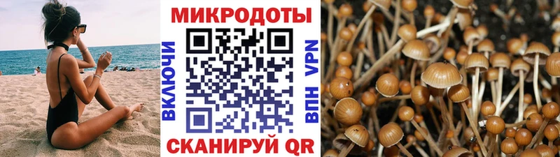 Псилоцибиновые грибы прущие грибы  закладка  гидра маркетплейс  Батайск 