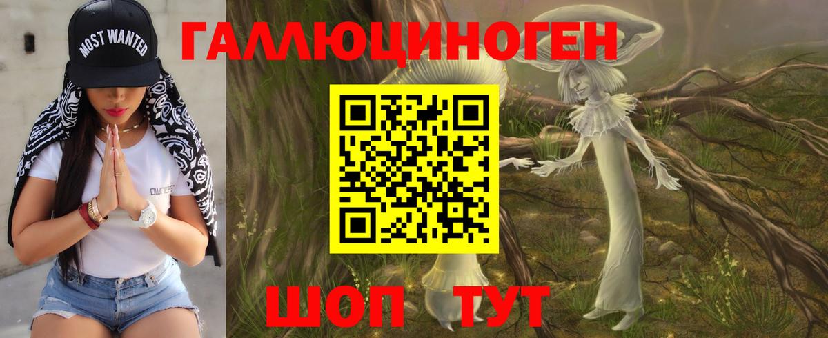 Псилоцибиновые грибы мицелий Батайск