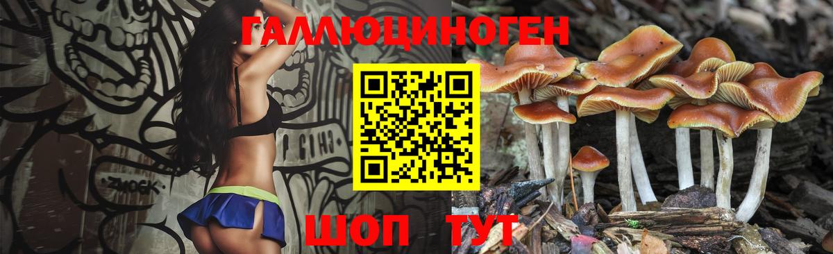Батайск  Галлюциногенные грибы Cubensis  Вход с VPN 